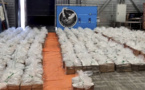 Saisie record de plus de huit tonnes de cocaïne aux Pays-Bas