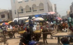 Touba, indispensables, les charrettes dictent leur loi