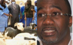 Achat de moutons de Tabaski à Ziguinchor : des éleveurs escroqués, réclament 10 millions Fcfa à Doudou Kâ 