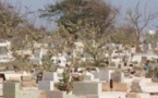 Kolda: le cimetière de Koukané envahi par des boas, des pythons et autres serpents venimeux 