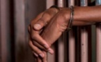 ​Ziguinchor: une bande de cinq agresseurs arrêtée par la police