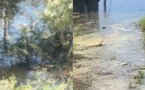 Cité nouvelle horizon: un garçon âgé de 12 ans meurt noyé dans un bassin 