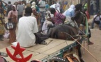 Grand-Dakar: un charretier condamné à six mois de prison pour avoir frappé un homme avec une pelle