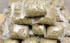 Trafic de drogue: un caïd nigérian, libéré sous grâce présidentielle, retombe dans les filets de la justice sénégalaise