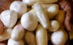 Trafic de stupéfiants : 6 Kg d’héroïne et plus de 267kg de chanvre indien saisis dans le centre du pays (Douanes)