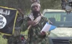 Nigeria: la ville libérée de Gambaru reprise par Boko Haram
