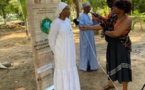 L’Ucad, l’IRD et l’AUF mettent en place un réseau pour valoriser la médecine traditionnelle au Sénégal