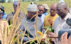 Le ministre de l’Agriculture, Samba Ndiobène Ka à l’assaut du bassin arachidier