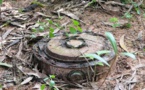 Casamance: Une mine ramassée par un jeune cultivateur neutralisée par des soldats 