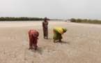 Lutte contre les changements climatiques : Mise en place d’un budget vert d’une centaine de milliards