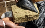 Louga : un dealer surpris avec 5 kg de chanvre indien menace les agents de l’Ocrtis et reçoit une balle