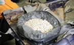 AIBD: une mule sud-africaine arrêtée avec 100 boules de cocaïne dans le ventre