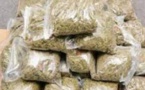 Trafic de drogue à Grand Médine: deux individus arrêtés suite à une dénonciation 