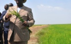 Le Chef de l’Etat campe sur son «autosuffisance en riz» en 2017