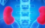 Transplantation rénale : une première opération réalisée par l’hôpital militaire de Ouakam