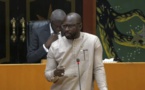 ​Projet du budget 2024 du ministère de l'Agriculture: le député Ibrahima Diop tire sur son camarade Cheikh Seck et ses photos à la Tour Eiffel 