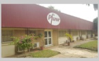 Pfizer Afrique de l’Ouest roule dans la farine les employés sénégalais et se tire au  Maroc