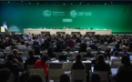 COP28: des réactions tempérées après l'adoption du Bilan mondial à Dubaï
