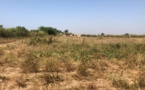 Pointe-Sarène : un décret d’expropriation provoque la colère des agriculteurs