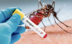 Ross Béthio : la dengue fait son retour avec onze (11) cas