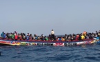 Immigration irrégulière: « 10 pirogues sont introuvables depuis presque deux mois » (Acteur pêche)