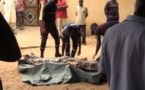Découverte Macabre dans la Forêt de Gassane: le corps sans vie d’un homme le crâne fracassé retrouvé 