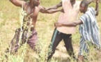Joal: un berger et un agriculteur en garde à vue pour coups et blessures réciproques 