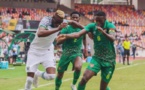 Amicaux des adversaires des « Lions » : Guinée/Nigeria ce lundi et Cameroun / Zambie mardi