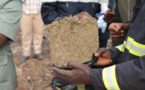 ​Ziguinchor : arrêté avec 04 camelotes de 125 g de chanvre indien, le pêcheur Assane Mboup vend la mèche