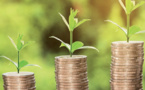 Economie verte : le défi majeur reste l'accès au financement (officiel)