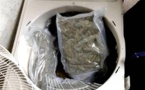 Démantèlement d'un Gang à Kolda : la police saisie 2kg de drogue et arrête trois (3) personnes dont artiste chanteur