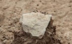 Découverte au Kenya des plus vieux outils du monde