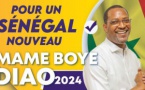 Programme de campagne : la coalition Diao 2024 fait l'apologie de l'agriculture