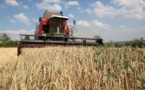 L'Union européenne divisée sur les restrictions agricoles à imposer à l'Ukraine