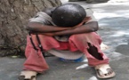 Atelier de la CEDEAO à Dakar : L’éradication des enfants dans la rue en ligne de mire.