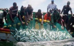 "Les plateformes pétrolières et gazières sont un manque à gagner pour les pêcheurs", (Moustapha Dieng)