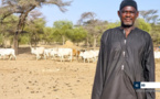 Podor : Aboubacry Diallo propose des solutions pour atteindre l’autosuffisant en moutons pour la tabaski 