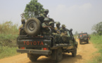 Est de la RDC: deux leaders des ADF tués dans une opération ougando-congolaise