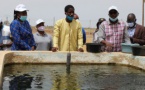 Création de nouvelle composante de l'aquaculture : plus de 5000 emplois attendus dans 7 régions (autorités)