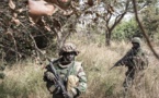 Gambie : la présence des soldats sénégalais de l’Ecomig rassure la population (diplomate)