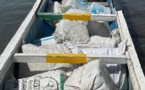 234 kg de cannabis conditionnés en 30 colis interceptés sur le littoral