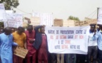 Sédhiou : des éleveurs de Sakar marchent pour dénoncer les vols répétitifs de bétail