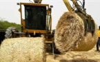 Richard-Toll : la CSS offre des balles de paille de canne à sucre d’une valeur de 4 milliards à des éleveurs