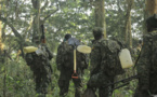RDC: les bataillons «Jungle», des spécialistes du combat en forêt équatoriale formés par la France