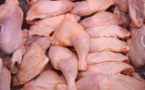 Keur Madiabel :  Les aviculteurs alertent sur la vente des cuisses de poulets contaminés sur le marché