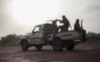 Centrafrique: une centaine de miliciens de la communauté Zandé rejoignent l'armée nationale