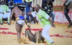 Lutte : Eumeu Sène bat SaThiès dans un duel de gladiateurs