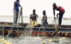 Publication des licences de pêche, réglementation… : « Il n’y a pas de surveillance dans les côtes sénégalaises » (Ibrahima Mar)