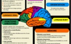 Cerveau : comment se forment nos souvenirs?
