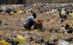 7884 villages touchés par le programme Atpc : Le Sénégal avance dans la lutte contre la Défécation à l’air libre
